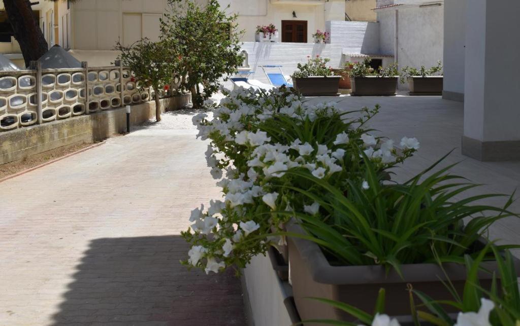 B&B Lastracu Castellammare del Golfo Luaran gambar