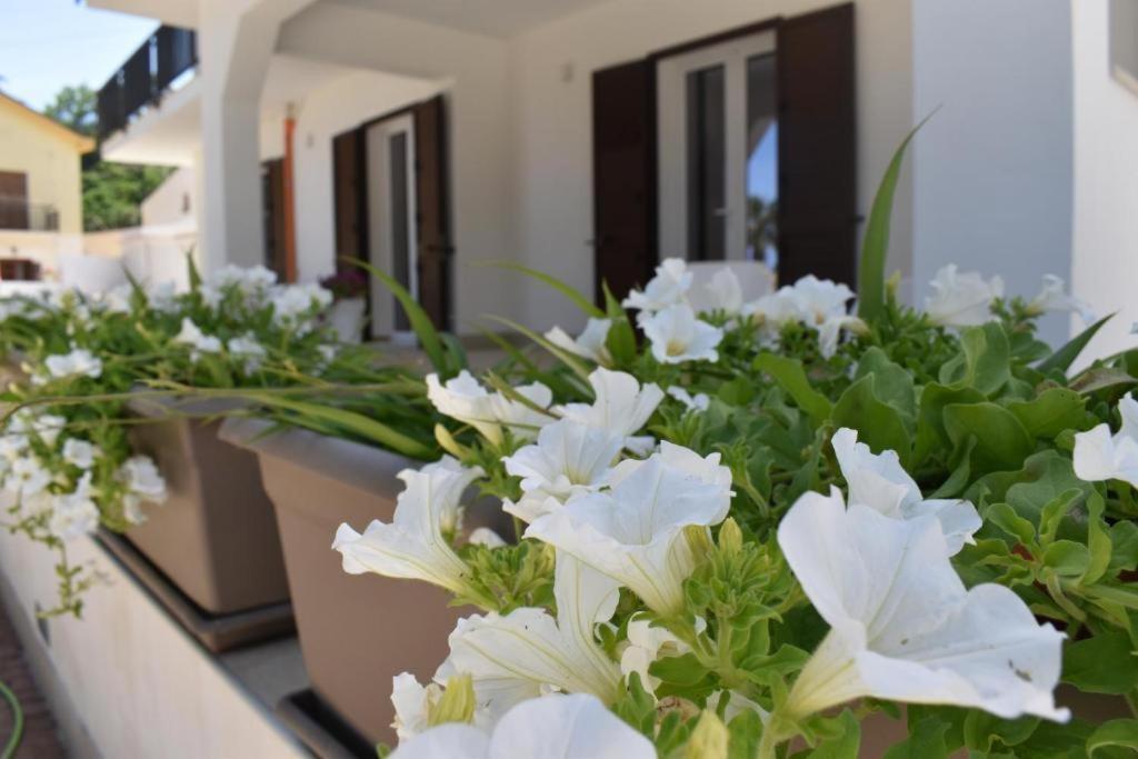 B&B Lastracu Castellammare del Golfo Luaran gambar