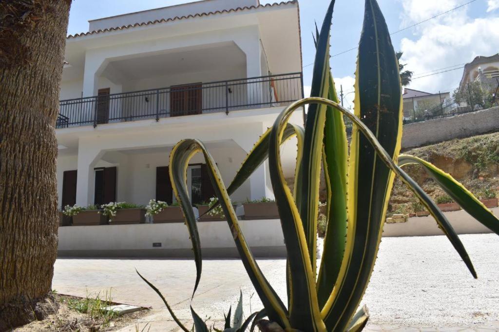 B&B Lastracu Castellammare del Golfo Luaran gambar
